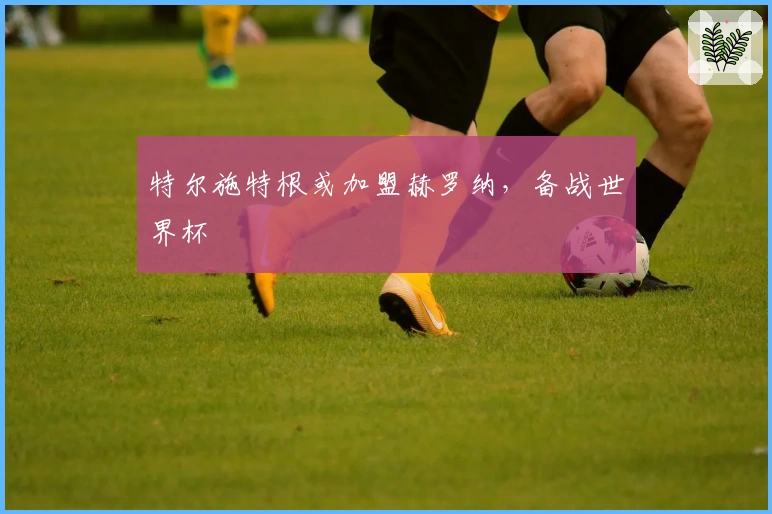 特尔施特根或加盟赫罗纳，备战世界杯